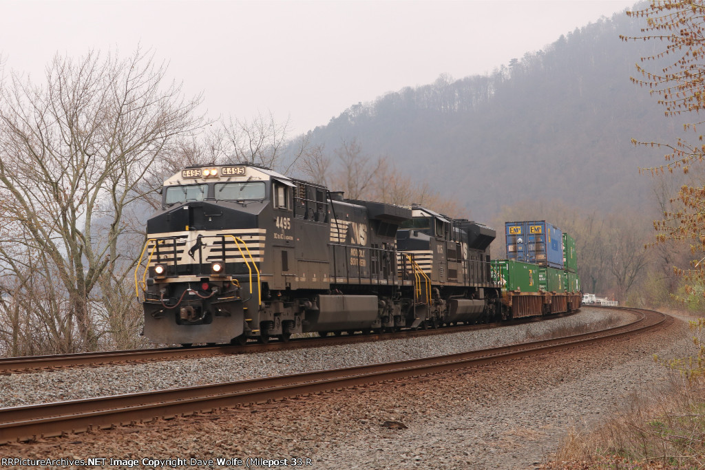 NS 4495